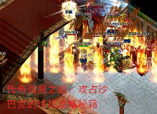 ΢ۣ֮ռɳͿ˵ռؼ
