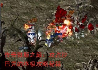 ΢ۣ֮ռɳͿ˵ռؼ