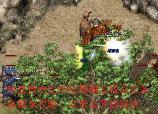 Ѫ̬˽伫Ʒװȡȫԣδؾ