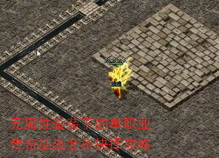 װµĵְҵսװ
