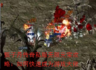 ӵ˽ԪԣοٳΪϷ