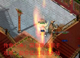 ǿֹԣս귨½