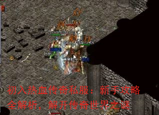 Ѫ˽ֹȫ⿪֮