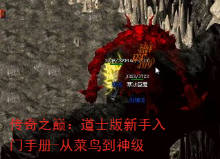 ۣ֮ʿֲ-Ӳ