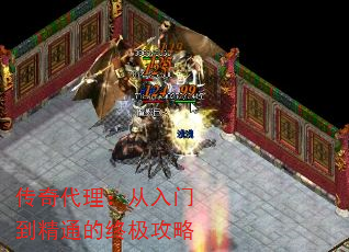 ŵͨռ