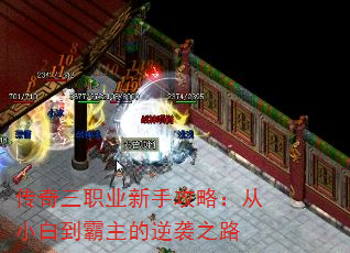 ְҵֹԣС׵Ϯ֮·
