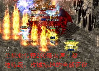 ְҵ200٣ӵصȫ;