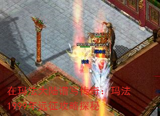 귨½д棺귨1999Զ̽