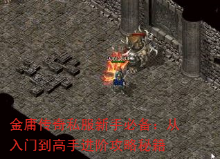 ӹ˽ֱرŵֽ׹ؼ