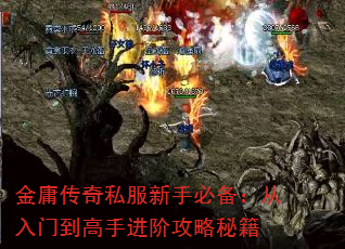 ӹ˽ֱرŵֽ׹ؼ