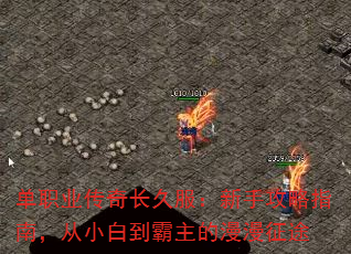 ְҵ泤÷ָֹϣС׵;