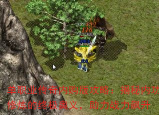 ְҵڹ湥ԣڹռ壬ս