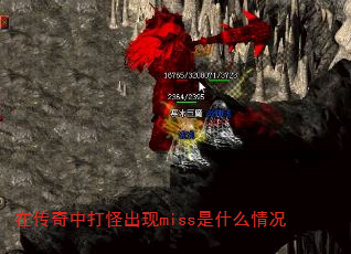 ڴдֳmissʲô