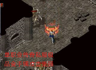 ְҵ˽Ʒǿ