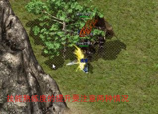 ȵҪע