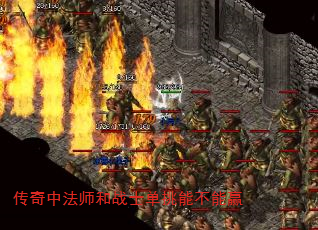зʦսʿܲӮ