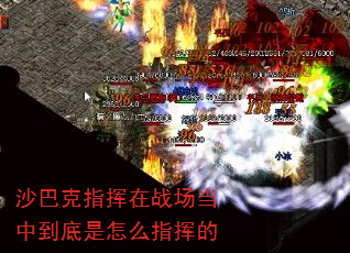 ɳͿָսеôָӵ