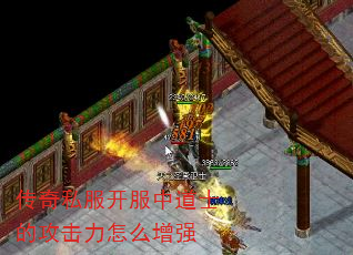 ˽еʿĹôǿ