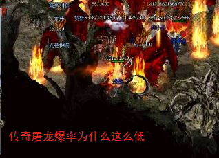 Ϊʲôô