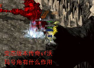 ̬汾sfŽʲô
