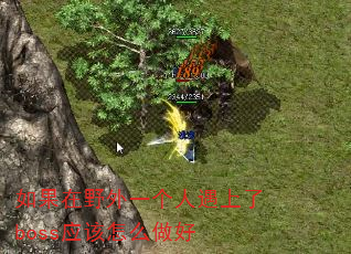 ҰһbossӦô