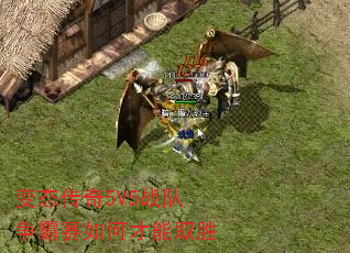 ̬5V5սβȡʤ