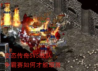 ̬5V5սβȡʤ