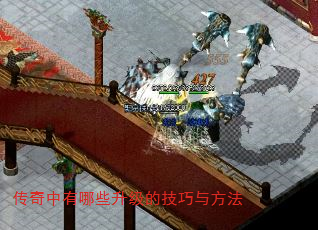 Щļ뷽