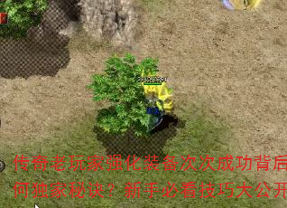 ǿװδγɹкζؾֱؿɴ󹫿