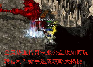 ӹѪ˽תٳɹԴ