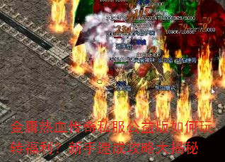 ӹѪ˽תٳɹԴ