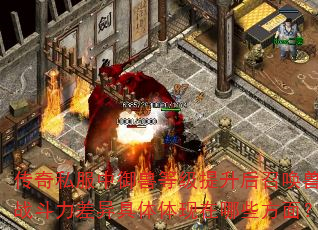 ˽޵ȼٻսЩ棿