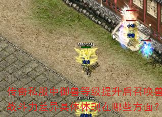 ˽޵ȼٻսЩ棿