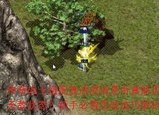 սʿ临ָǷʵ޵״ֱ̬ؿʵսɽ