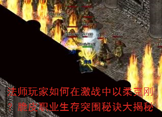 ʦڼս˸գƤְҵͻΧؾ