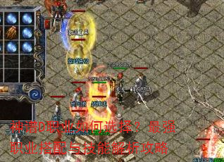 Dְҵѡǿְҵ뼼ܽ