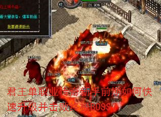 ְҵǰοռBOSS