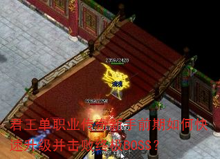 ְҵǰοռBOSS