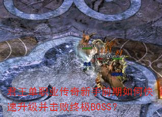 ְҵǰοռBOSS