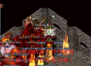 ְҵսȫԣ