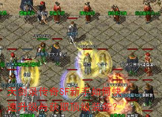 콣¼SFοȡװ