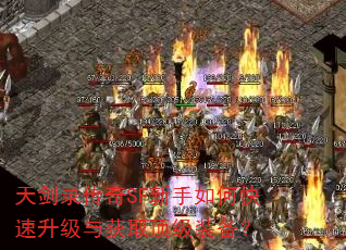 콣¼SFοȡװ
