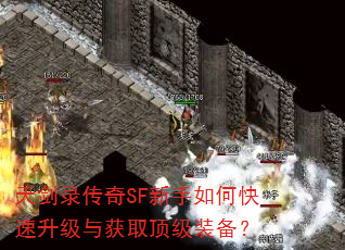 콣¼SFοȡװ
