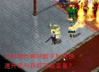 콣¼SFοȡװ