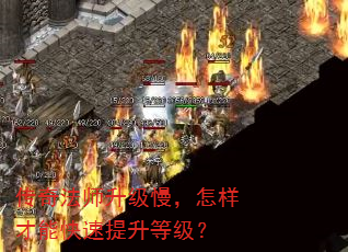 淨ʦܿȼ