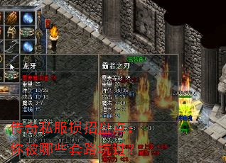 ˽̵㣺㱻Щ·ӹ