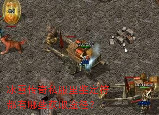 ѩ˽Щȡ;