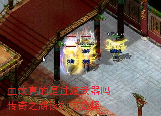Ѫǹ֮·ѡ