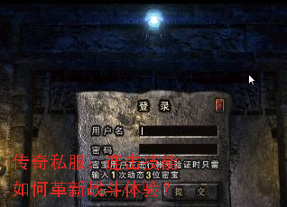 ˽θս飿