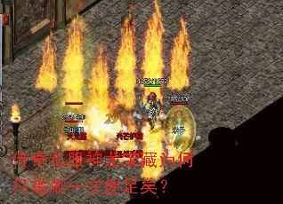 ˽Ϊֻˢһαӣ